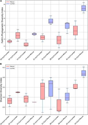 Development of the Ileal Microbiota in Three Broiler Breeds